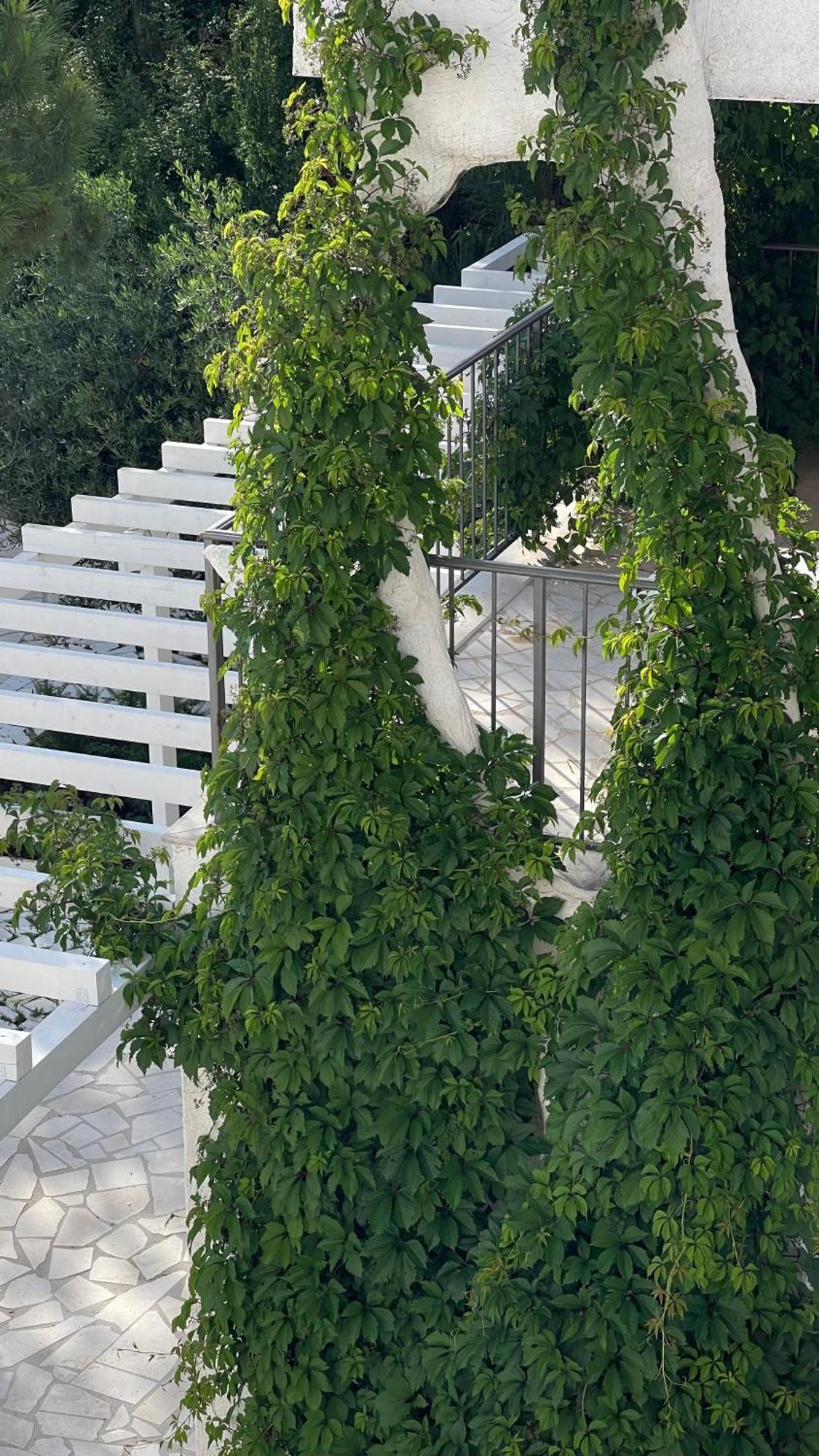 Przno Apartment Most Oliva Vrijesno Exteriér fotografie